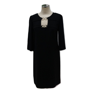 Vestido com Aplicações no Peito e Manga